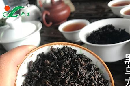 黑乌龙茶是属于什么茶
