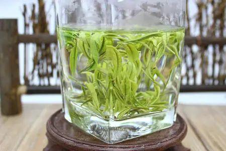 安吉白茶可以闷泡吗