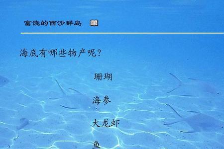 西沙群岛描写了哪四种鱼