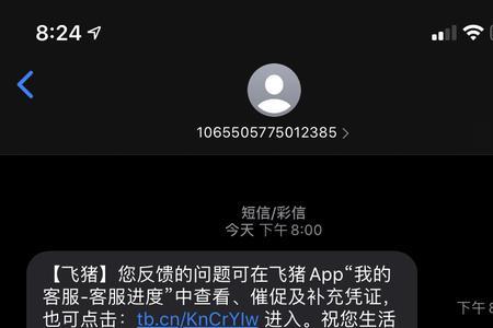 飞猪机票包含燃油费吗