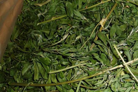 发酵牧草能杀死虫卵吗