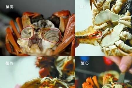 是海蟹好吃还是湖蟹好吃