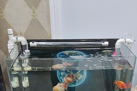150的鱼缸用多大的底滤
