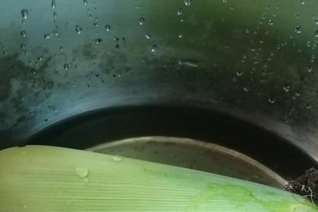 高压锅蒸玉米怎么做