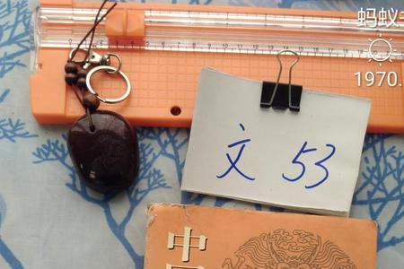 中国历史第一禁因是那一年