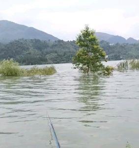遵义四面山附近的野钓地点