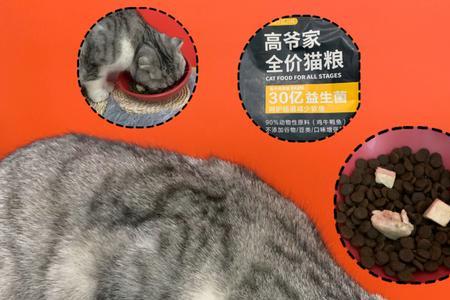 高爷家猫粮和醇粹哪个好