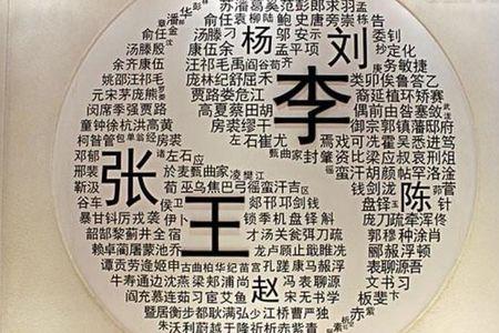 王黎是个姓吗