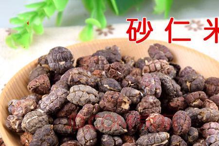 炖猪肉用的香料及配方