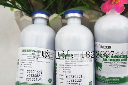 狗三联四防疫苗可以打羊吗
