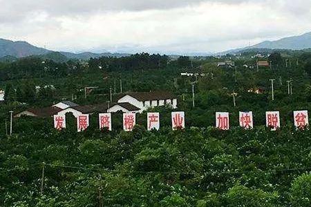 赣州产业结构和支柱产业