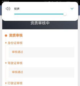 正在审批中什么意思
