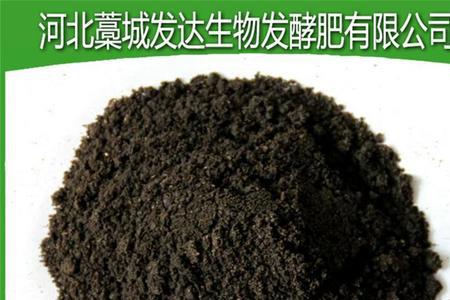 鸡粪发酵最快的土法