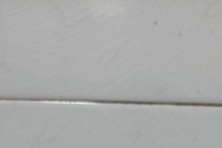 水培大蒜用干蒜还是鲜蒜