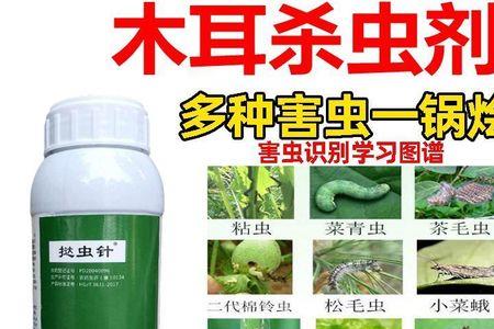 紫薇树干钻心虫怎么灭杀