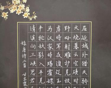 七年级可以写行楷吗