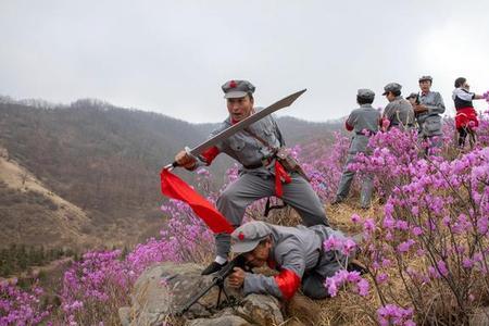 映山红电影出自