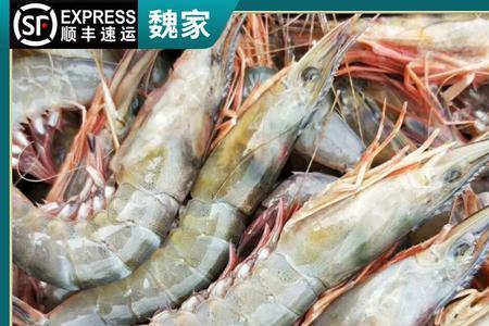 滑皮虾与青虾的区别