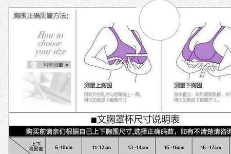 男士胸围32是多少码