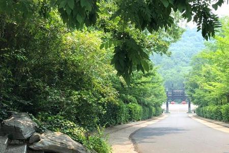 山幽路辟读音