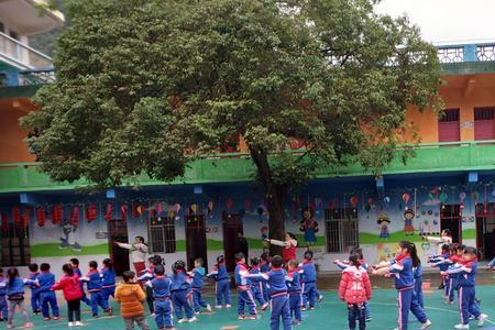 幼儿园留园班有必要吗
