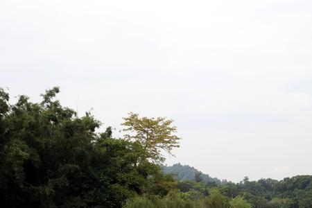 惠州西湖冬天的景色描写