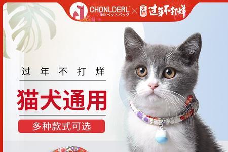 小猫戴项圈影响睡觉吗