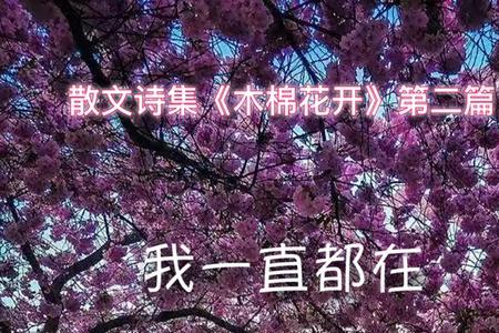 走过了一年又一年诗歌原唱