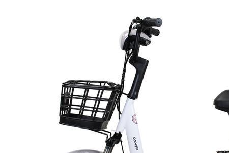 赛克电动车几块电瓶