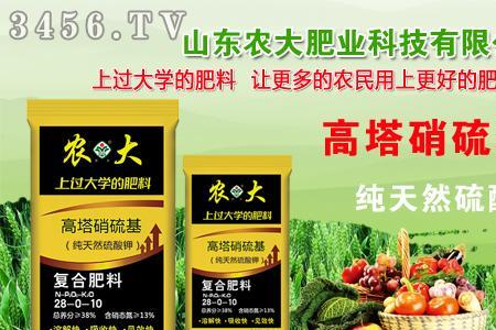 山东有哪些化肥公司
