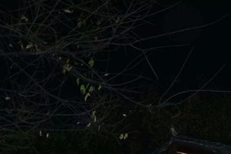 望窗外明月依旧全诗