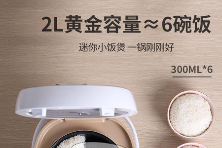 迷你电饭锅小浣熊为啥灯不亮