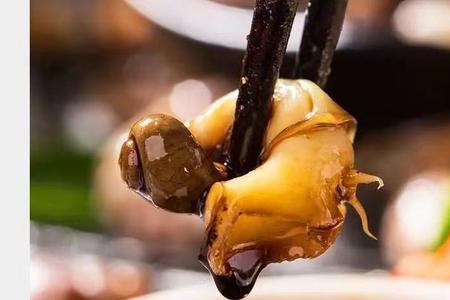 东风螺里面的肉能全部吃吗