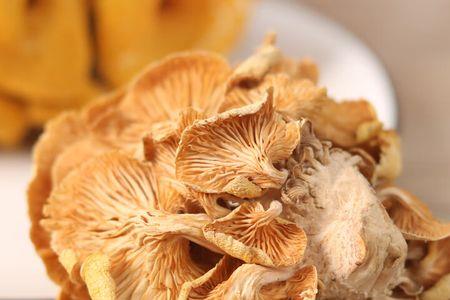 干黄金菇泡发多长时间
