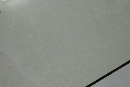 灰色扁虫是什么虫