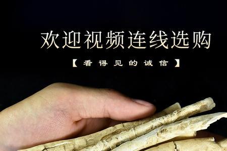 野生白鲜皮6月份能移栽吗