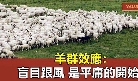 羊群怎么造句
