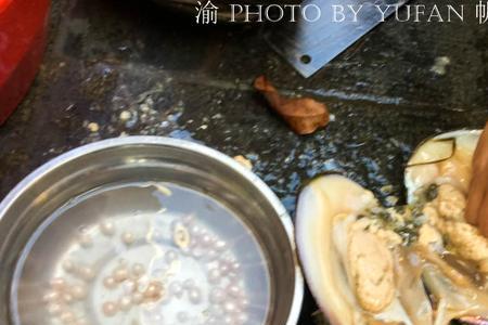 人工养殖蚌里怎么放东西成珍珠