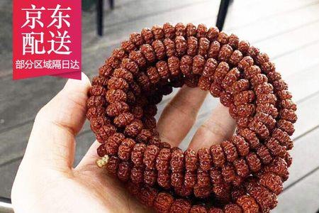 梅花小金刚最小多大