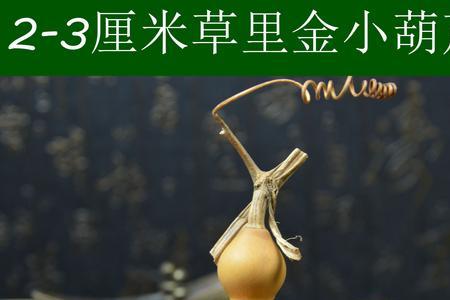 手捻葫芦成熟后怎么加工