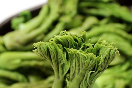 丰宁特产山野菜做法