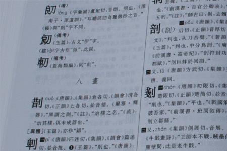 酱在字典多少页