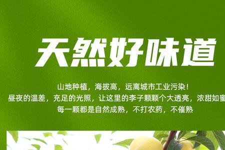 四川汉源桃花李啥时间成熟