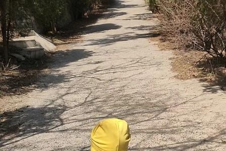 迈着六亲不认的步伐搞笑下一句