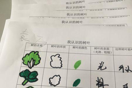 树叶有很多形状造句