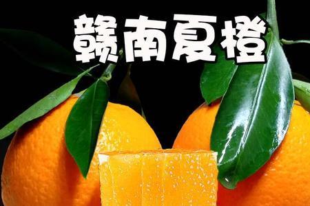 夏橙升糖指数
