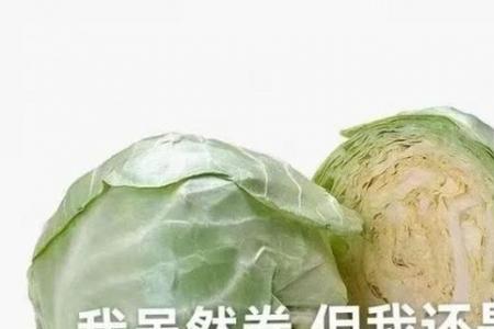 卷的意思网络用语