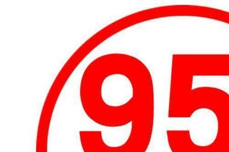 山东石化的95号汽油怎么样