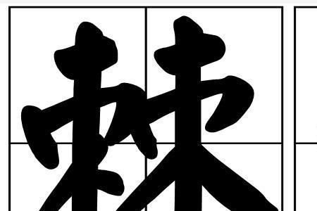 竹篷是词语吗