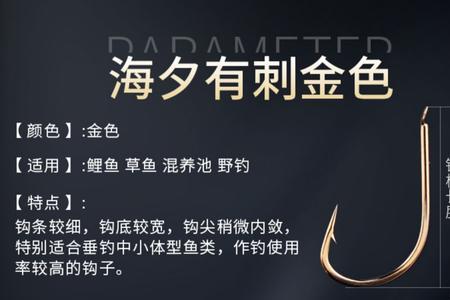 千又2号多大
